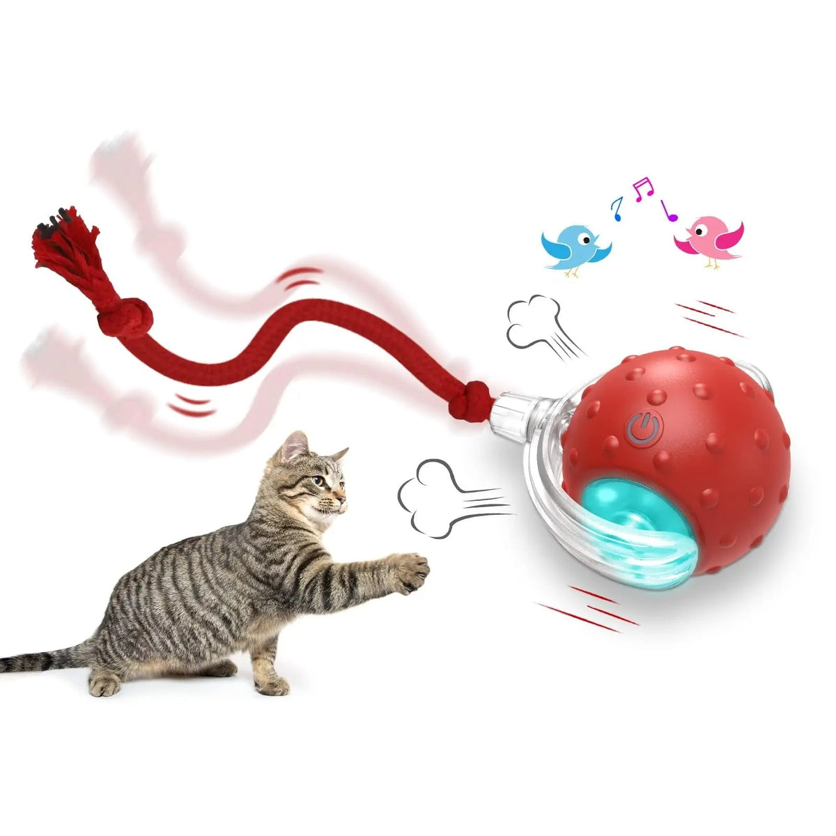 Top Selling🏆 - Kizuna Pets