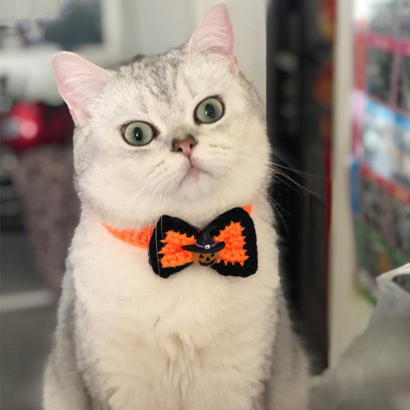 ハロウィン ペット用コスチューム 首輪・帽子セット 猫・犬対応 | Kizuna Pets