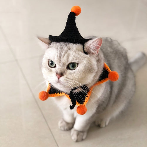 ハロウィン ペット用コスチューム 首輪・帽子セット 猫・犬対応 | Kizuna Pets