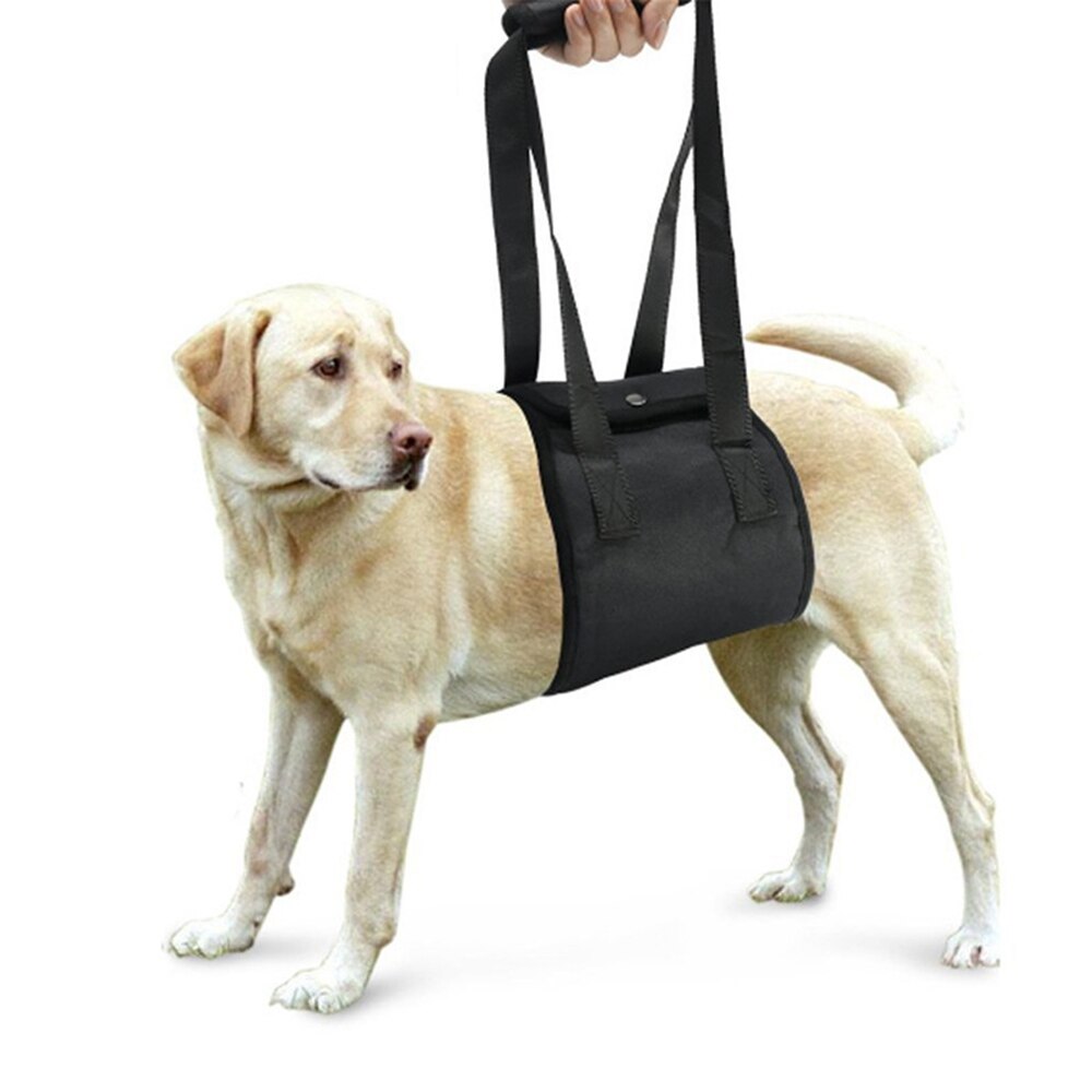ペット用介助ハーネス 老犬・負傷犬の車・階段サポート S〜XL | Kizuna Pets