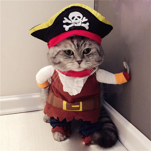 テディベア海賊コスチューム ペット仮装 ハロウィン 猫・犬対応 | Kizuna Pets