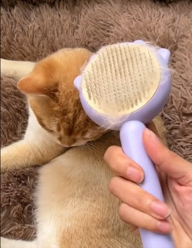 猫・犬用グルーミングコーム 抜け毛取り マッサージブラシ ペット用品
