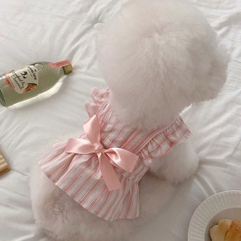 犬用プリンセスワンピース フレアスリーブ ストライプ 2色6サイズ | Kizuna Pets