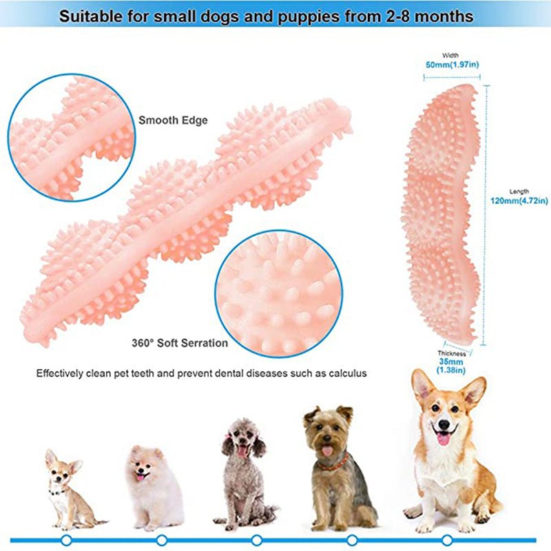 犬用 歯磨きおもちゃ｜天然ゴム製・耐噛み・3色展開 - Kizuna Pets