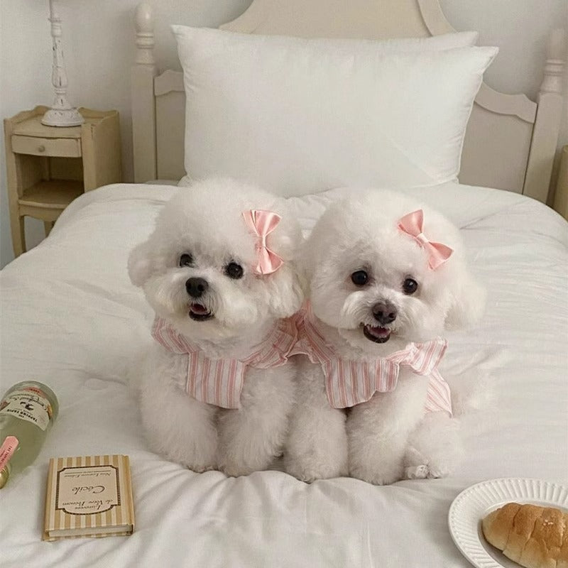 犬用プリンセスワンピース フレアスリーブ ストライプ 2色6サイズ | Kizuna Pets