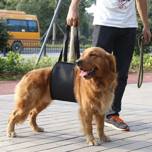ペット用介助ハーネス 老犬・負傷犬の車・階段サポート S〜XL | Kizuna Pets