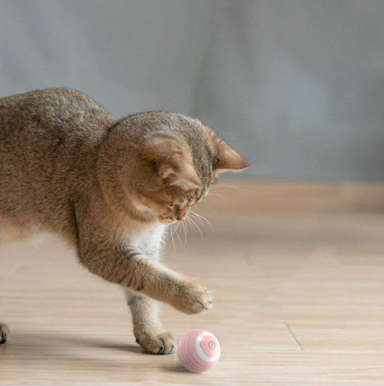 猫用充電式自動ボールおもちゃ シリコン素材 室内運動不足解消 | Kizuna Pets