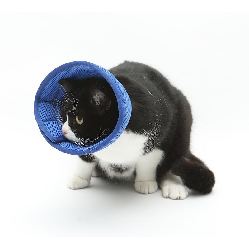 犬猫用エリザベスカラー 術後ケア・傷口保護 7サイズ・4色展開 | Kizuna Pets