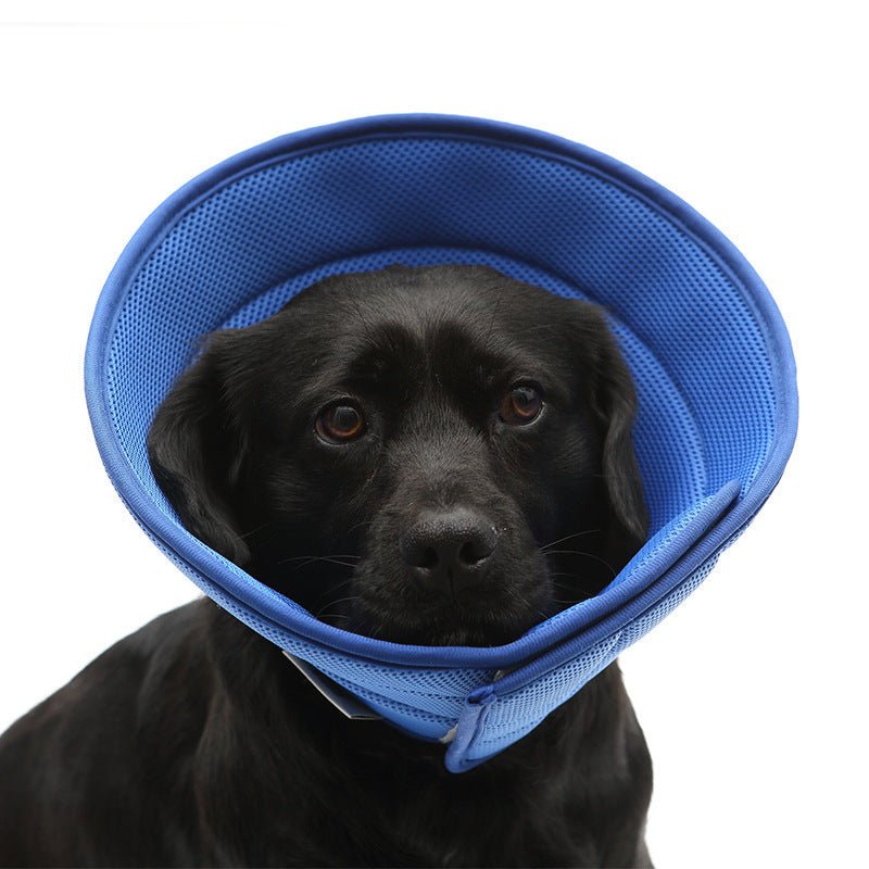 犬猫用エリザベスカラー 術後ケア・傷口保護 7サイズ・4色展開 | Kizuna Pets