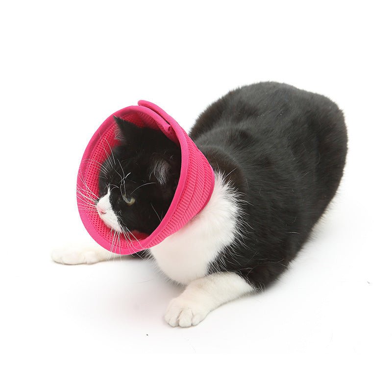 犬猫用エリザベスカラー 術後ケア・傷口保護 7サイズ・4色展開 | Kizuna Pets