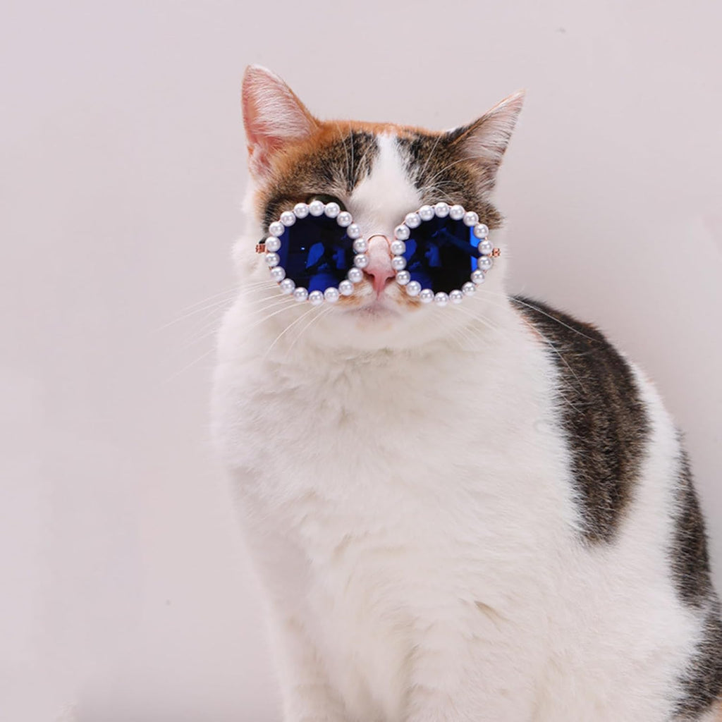 猫・犬用パールサングラス ペットコスチューム パーティー仮装 | Kizuna Pets
