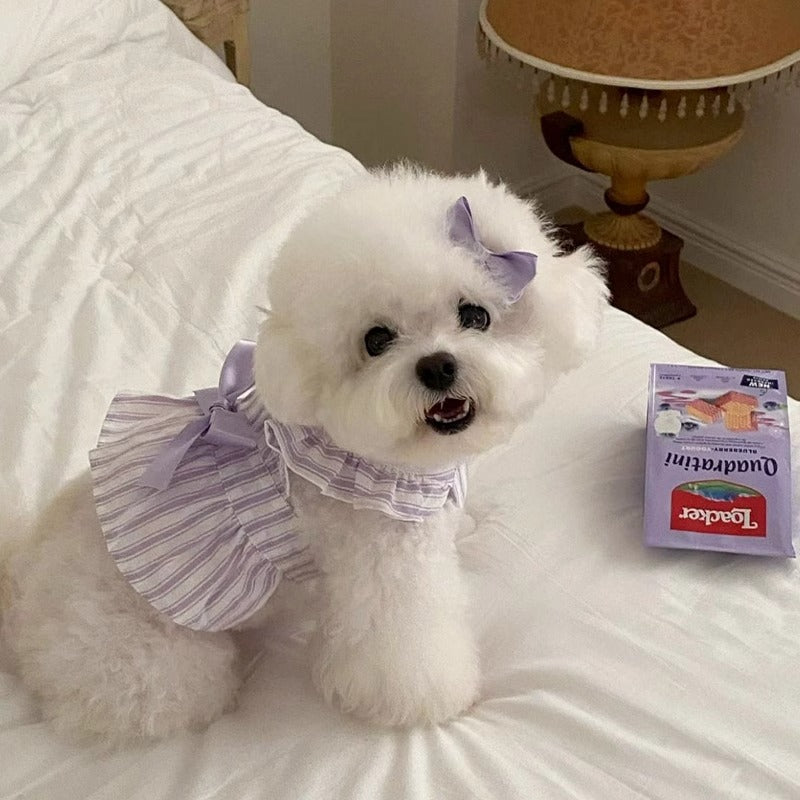 犬用プリンセスワンピース フレアスリーブ ストライプ 2色6サイズ | Kizuna Pets