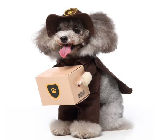 犬用コスプレ衣装 ハロウィン・クリスマス対応 面白い仮装ペット服 | Kizuna Pets