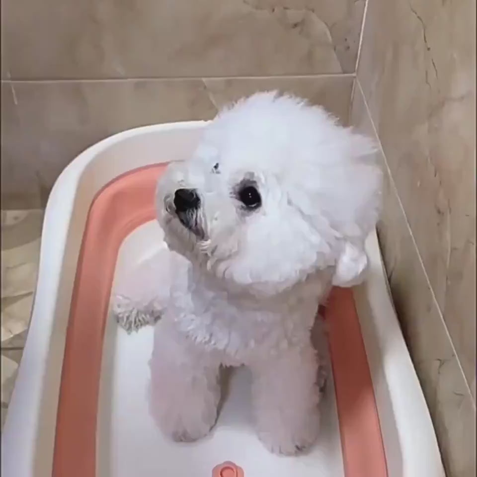 シリコン製 犬用バスブラシ マッサージグローブ シャンプー グルーミング用品
