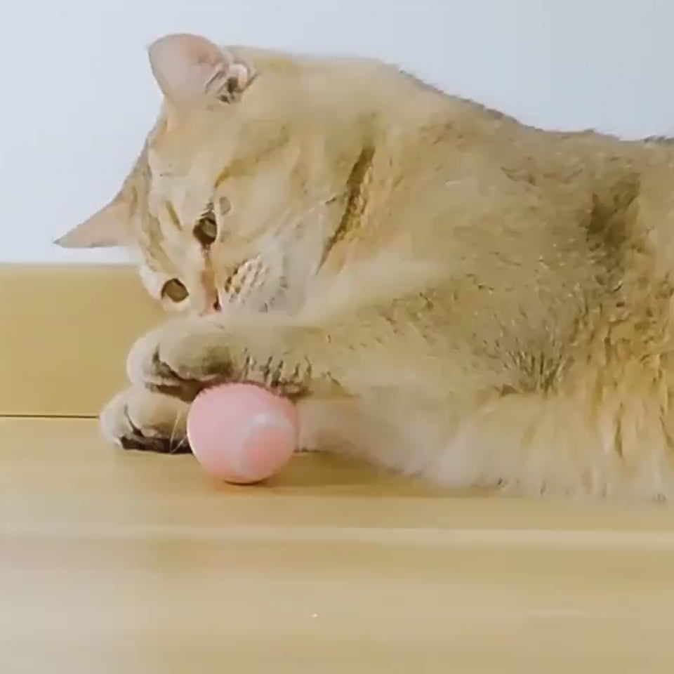 自動で動く猫用おもちゃボール 室内猫・子猫向け スマートローリングボール

