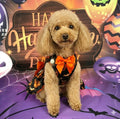 ハロウィン犬服 小型犬・猫用パンプキンドレス ペットコスチューム | Kizuna Pets