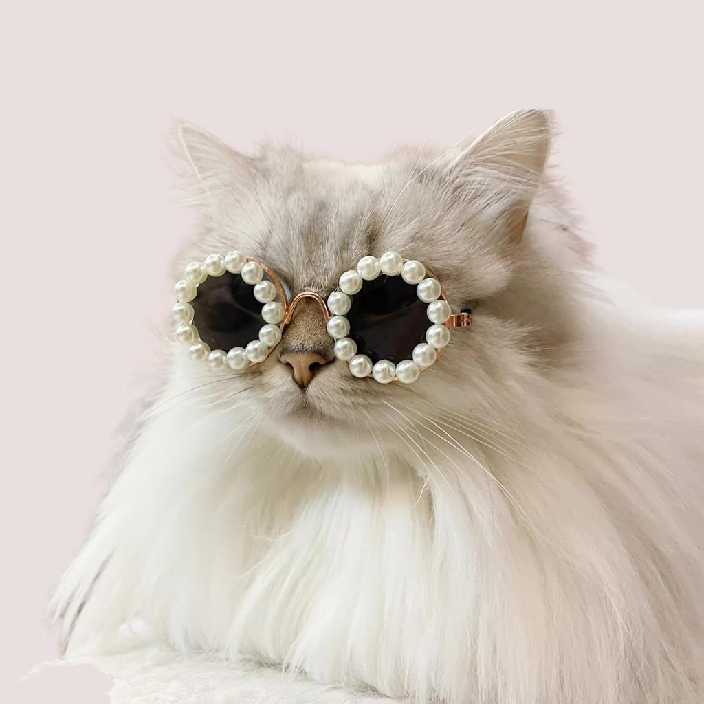 猫・犬用パールサングラス ペットコスチューム パーティー仮装 | Kizuna Pets