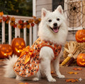 ハロウィン犬服 小・中型犬用パーティードレス ペットコスチューム | Kizuna Pets