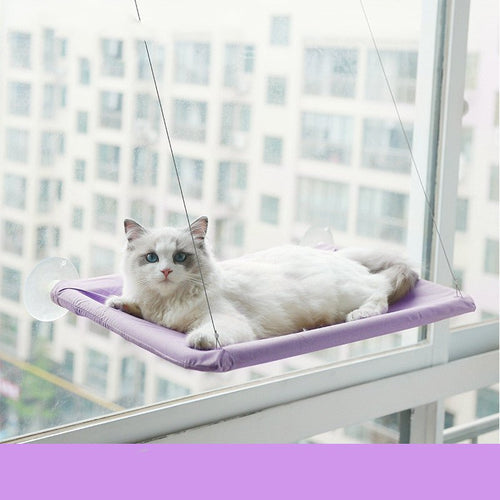 キャットハンモック 吸引カップ式 壁掛け・窓取り付け 猫用 | Kizuna Pets