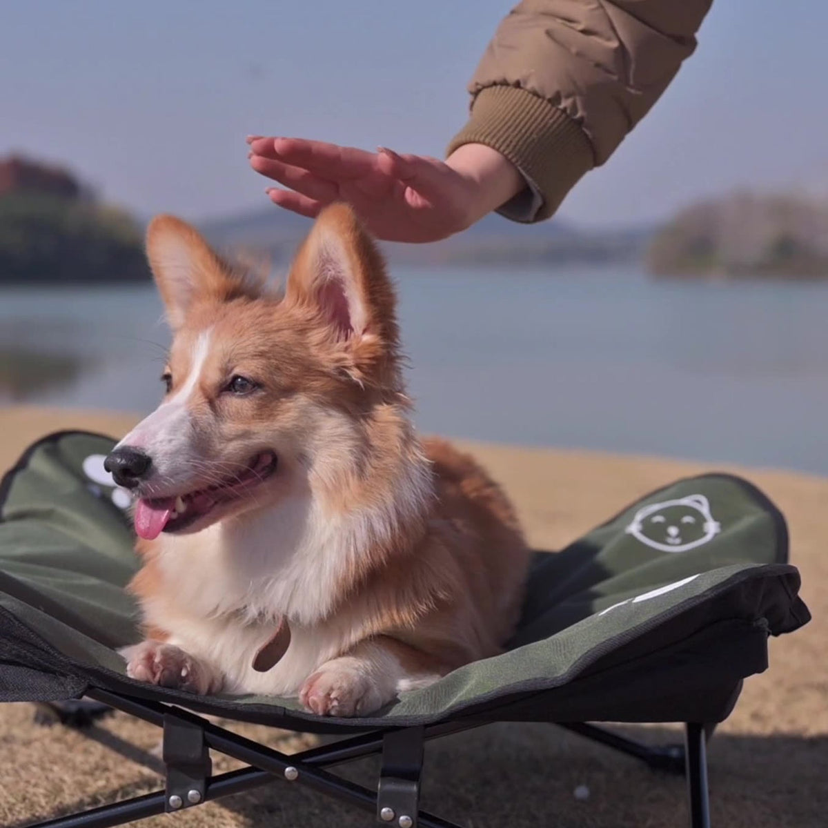 ペット用折りたたみアウトドアベッド 洗える 取り外し可能 犬猫対応 | Kizuna Pets