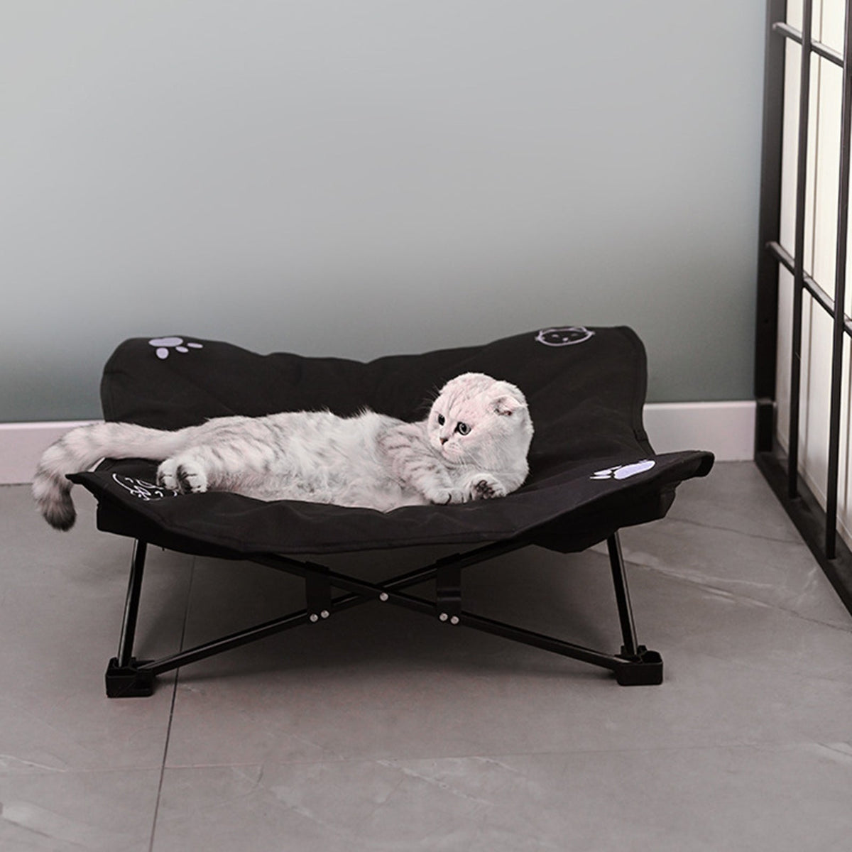ペット用折りたたみアウトドアベッド 洗える 取り外し可能 犬猫対応 | Kizuna Pets