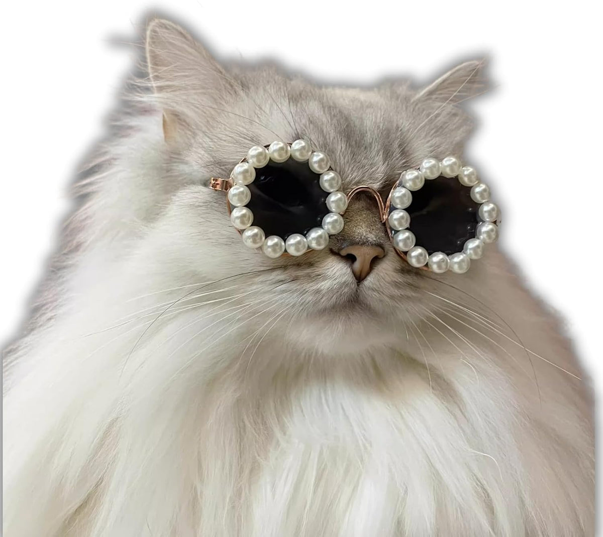 猫・犬用パールサングラス ペットコスチューム パーティー仮装 | Kizuna Pets