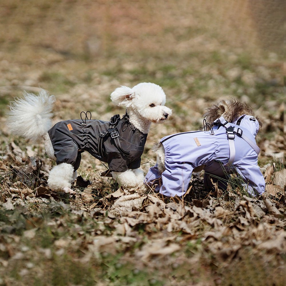 犬用レインコート おしゃれオールインワン ドッグウェア S〜3XL | Kizuna Pets