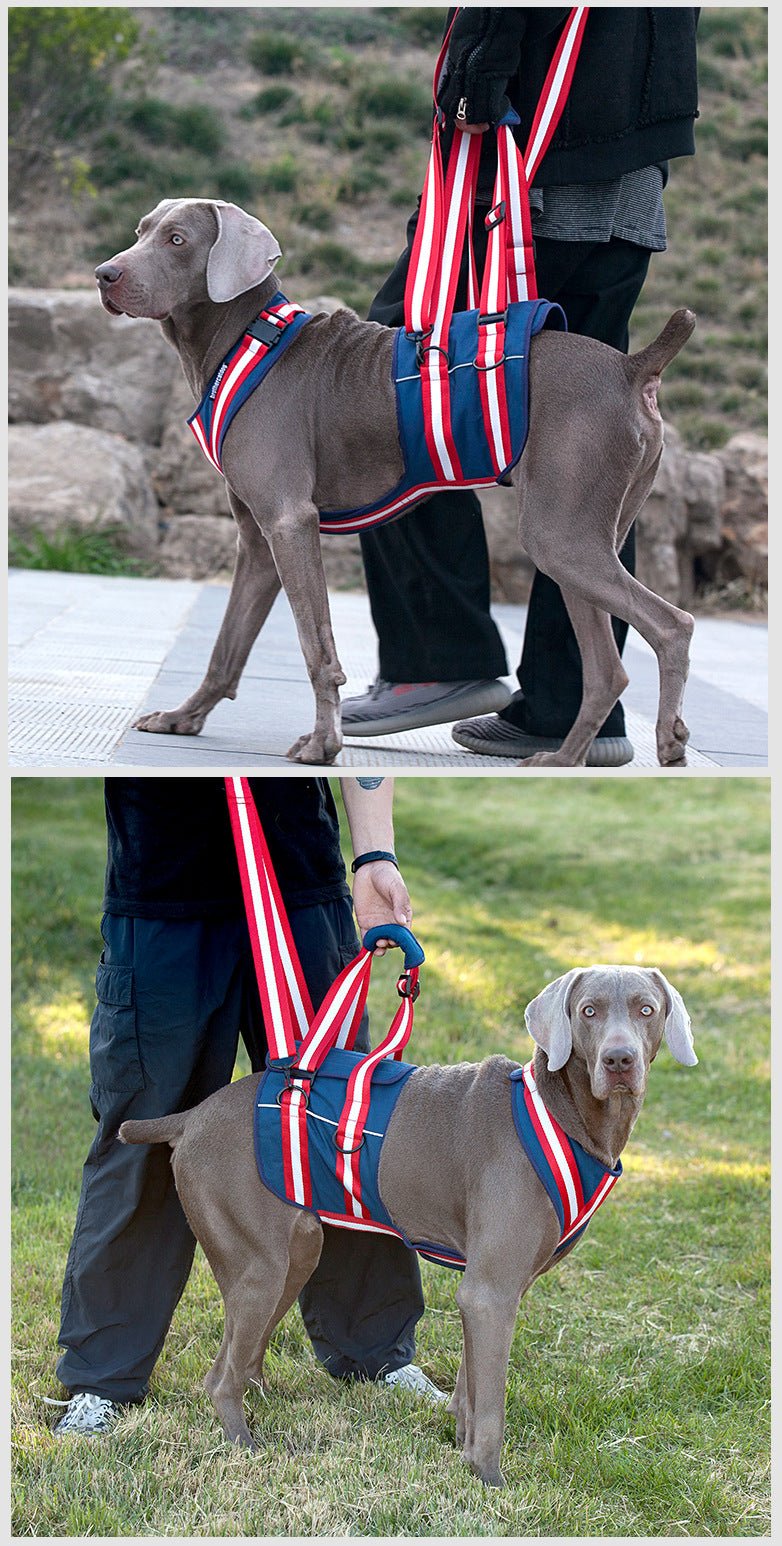 シニア犬・老犬用 ハーネス リード ナイロン製 S/M/L/XL 胴輪 散歩・リハビリ対応 - Kizuna Pets