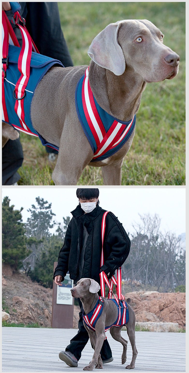 シニア犬・老犬用 ハーネス リード ナイロン製 S/M/L/XL 胴輪 散歩・リハビリ対応 - Kizuna Pets
