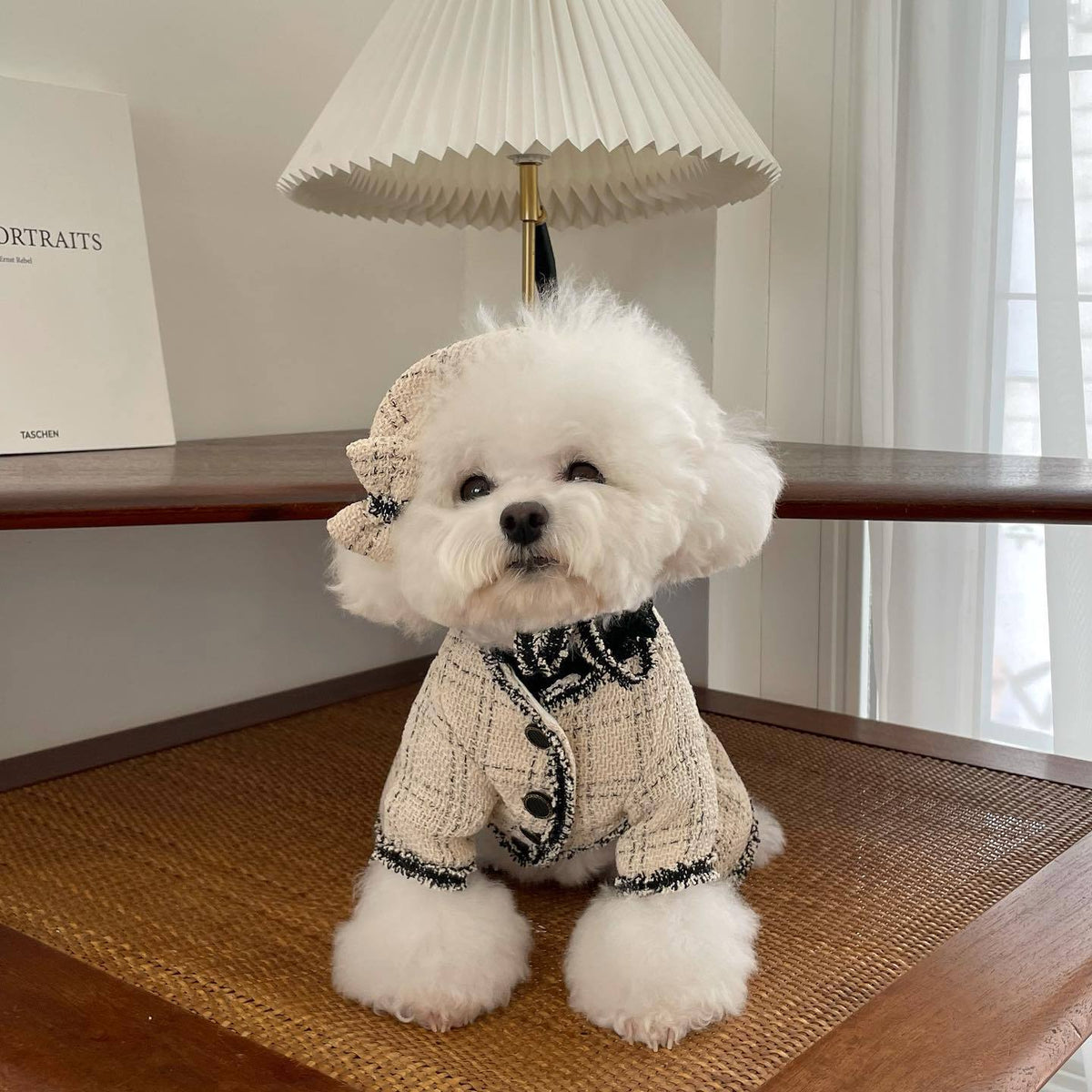 猫・犬用プリンセススカート コットン XS〜2XL | Kizuna Pets