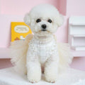 犬用ウェディングドレス チュールチュチュ 小型犬 XS〜XL おしゃれ | Kizuna Pets