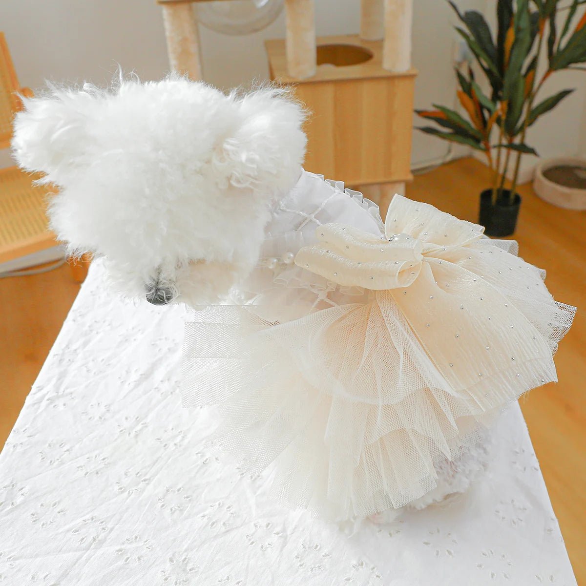犬用ウェディングドレス チュールチュチュ 小型犬 XS〜XL おしゃれ | Kizuna Pets