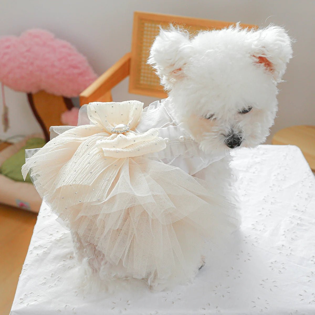 犬用ウェディングドレス チュールチュチュ 小型犬 XS〜XL おしゃれ | Kizuna Pets